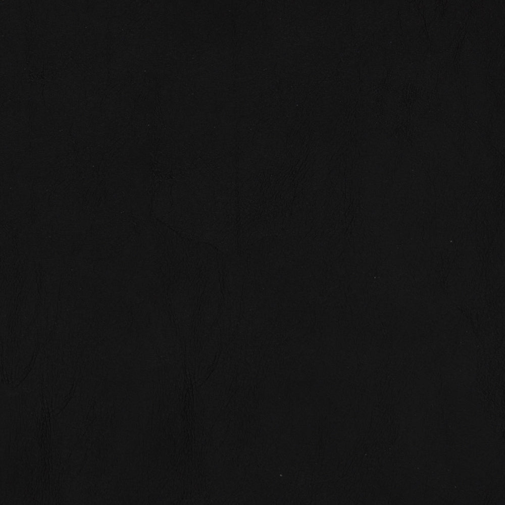 Coal Black Swatch