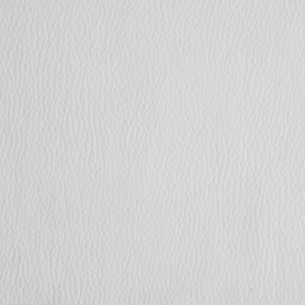 Snow Swatch