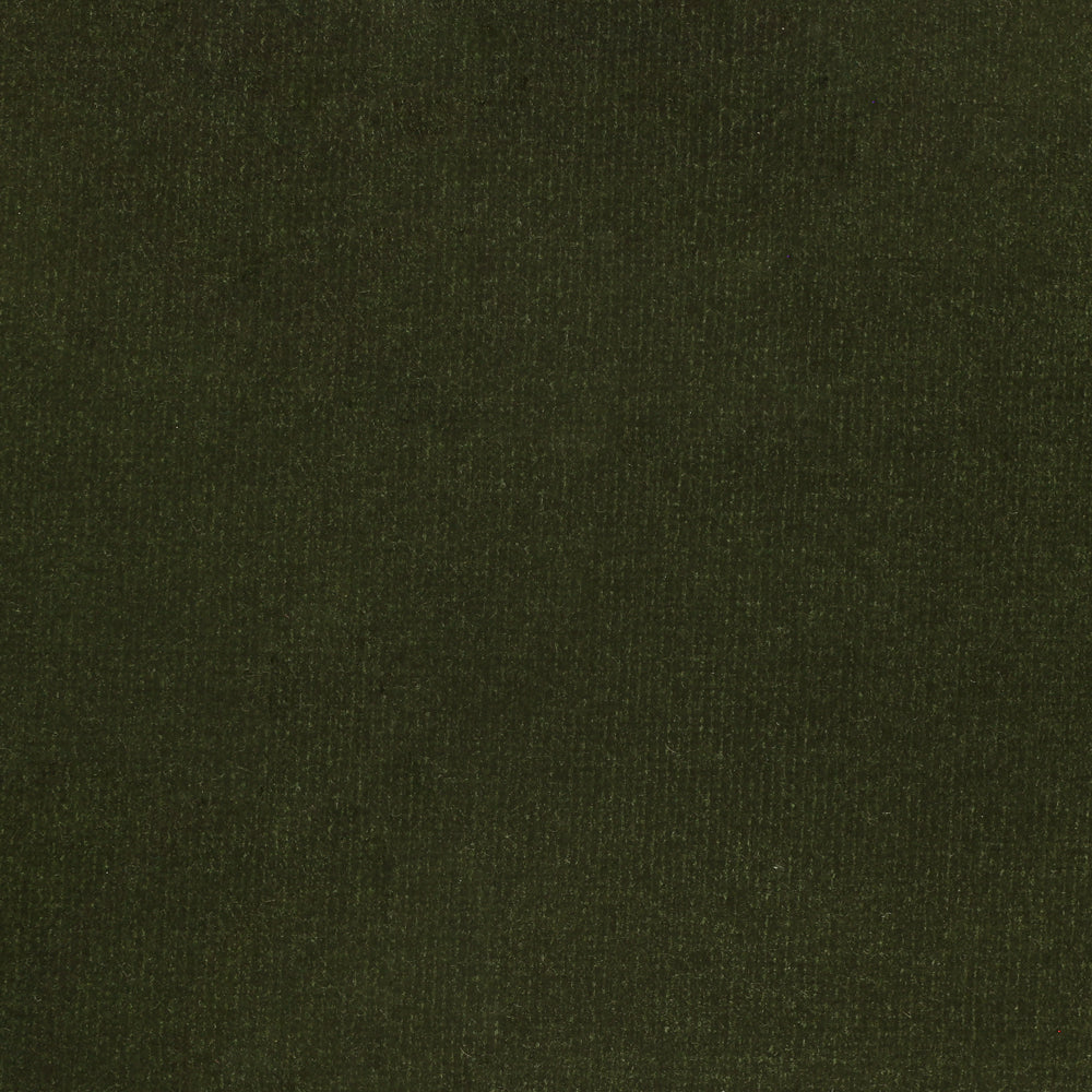 Forest Green Swatch