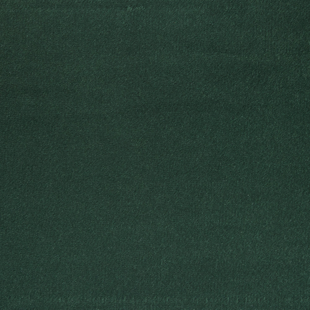 Deep Green Sky Swatch