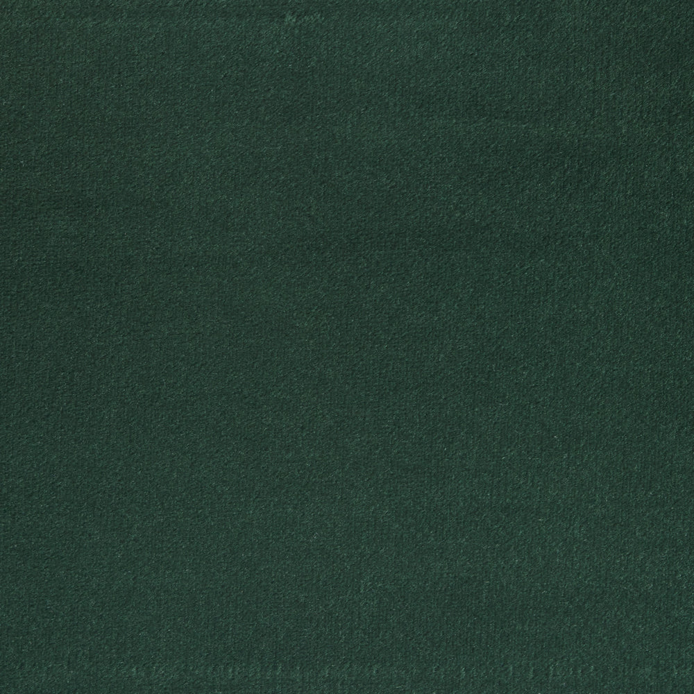 Deep Green Sky Swatch