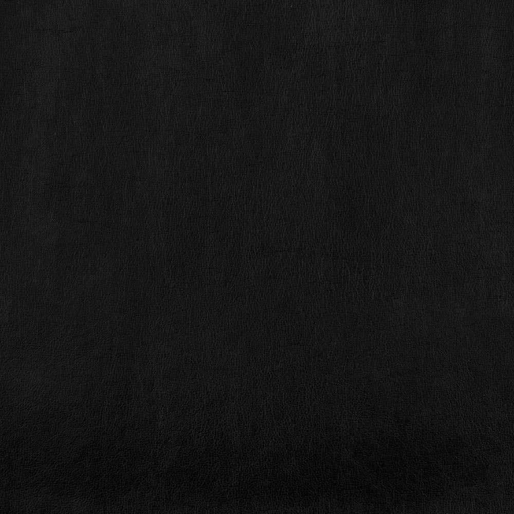 SW0173_1