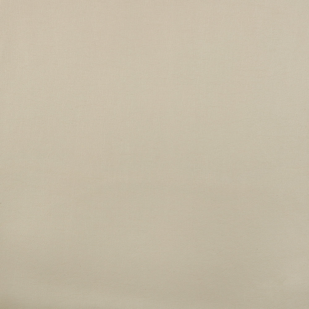 Castillo Cream Swatch