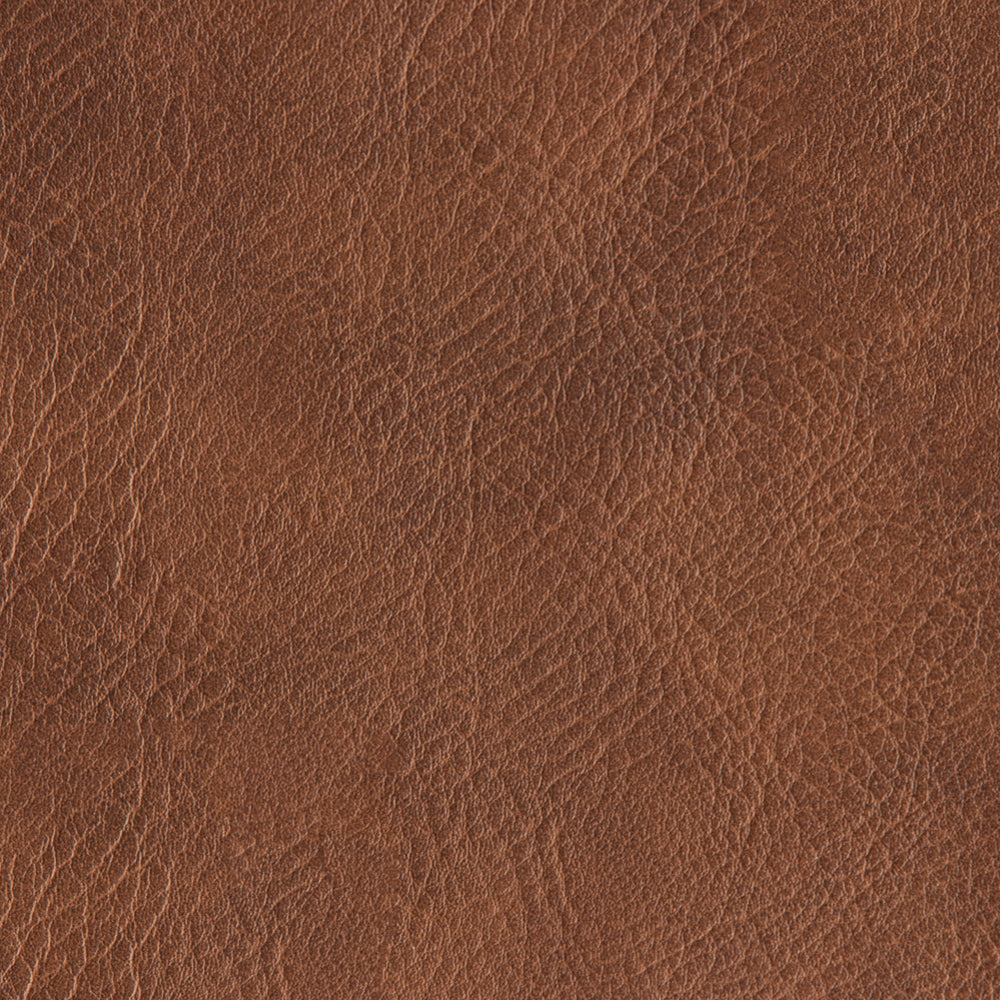 Cinnamon Brown Swatch