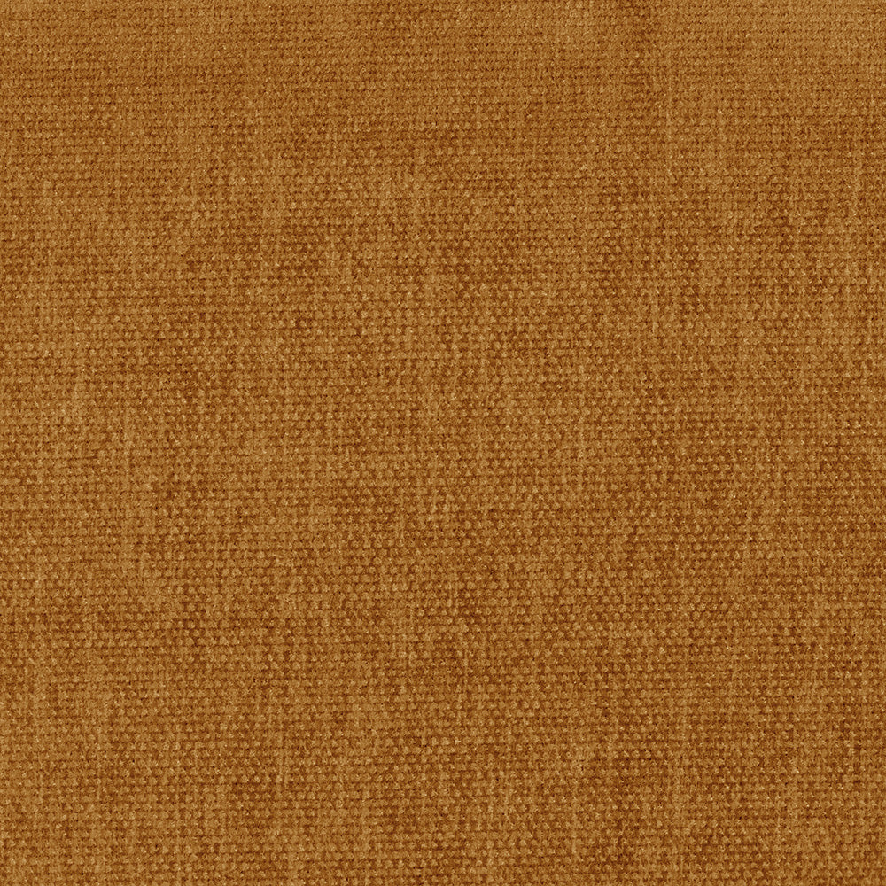 Danny Amber Swatch
