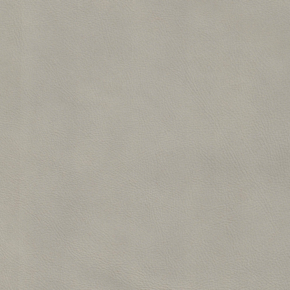 Bali Bone Leather Swatch