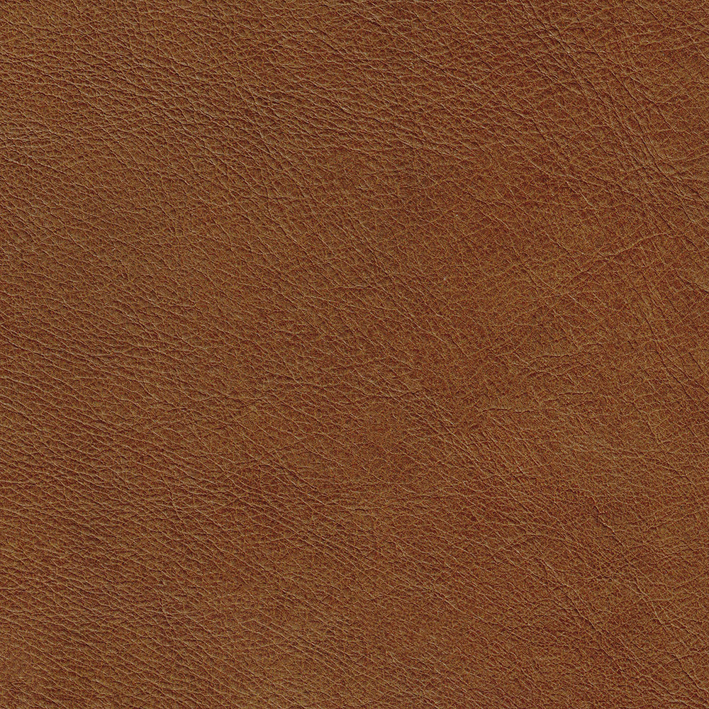 Behike Saddle Leather Swatch