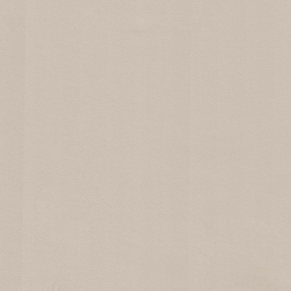 Napa Beige Swatch