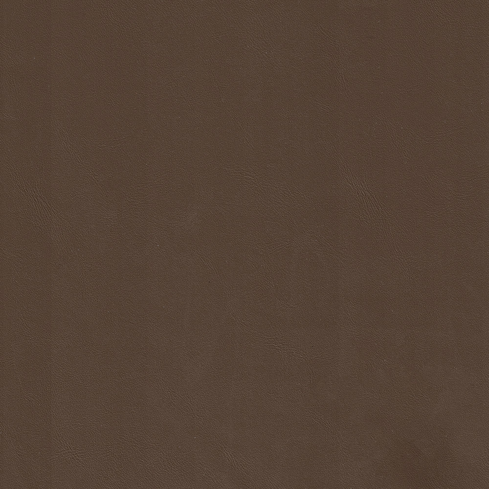Napa Tan Swatch
