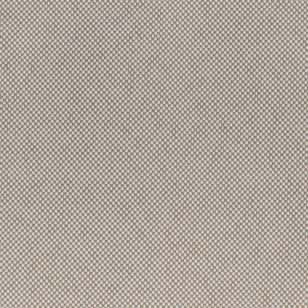 Palazzo Cream Swatch