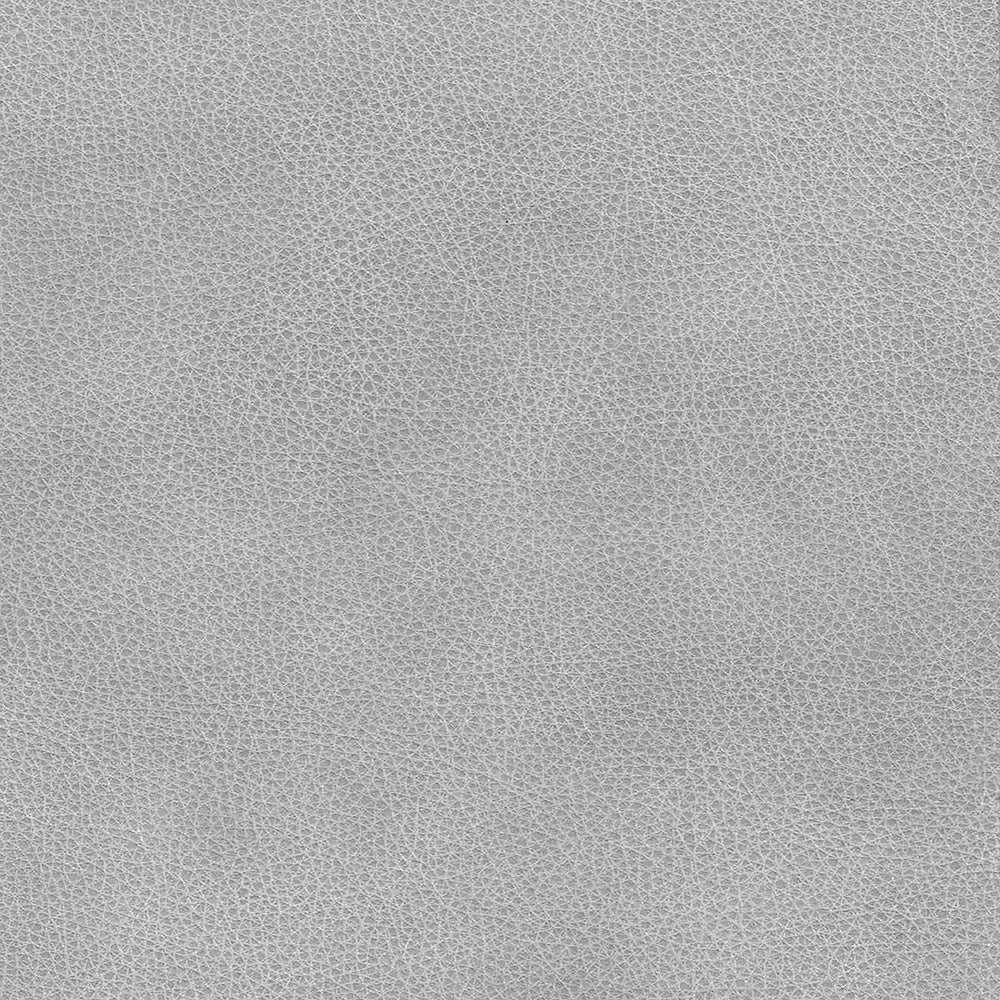 Saloon Light Grey Leather Swatch
