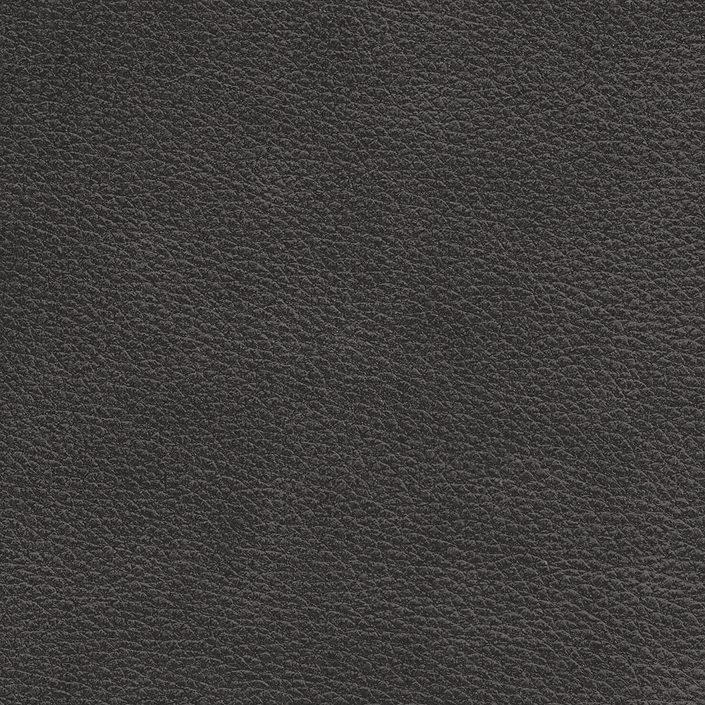 Brentwood Charcoal Leather Swatch