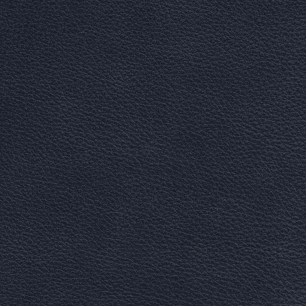 Cortina Ink Leather Swatch