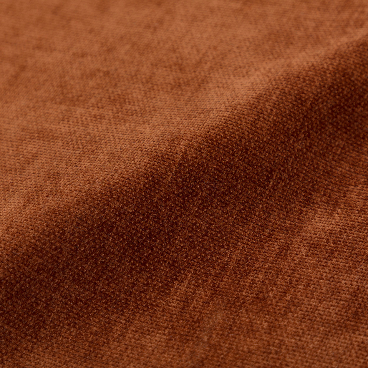 Danny Rust Swatch