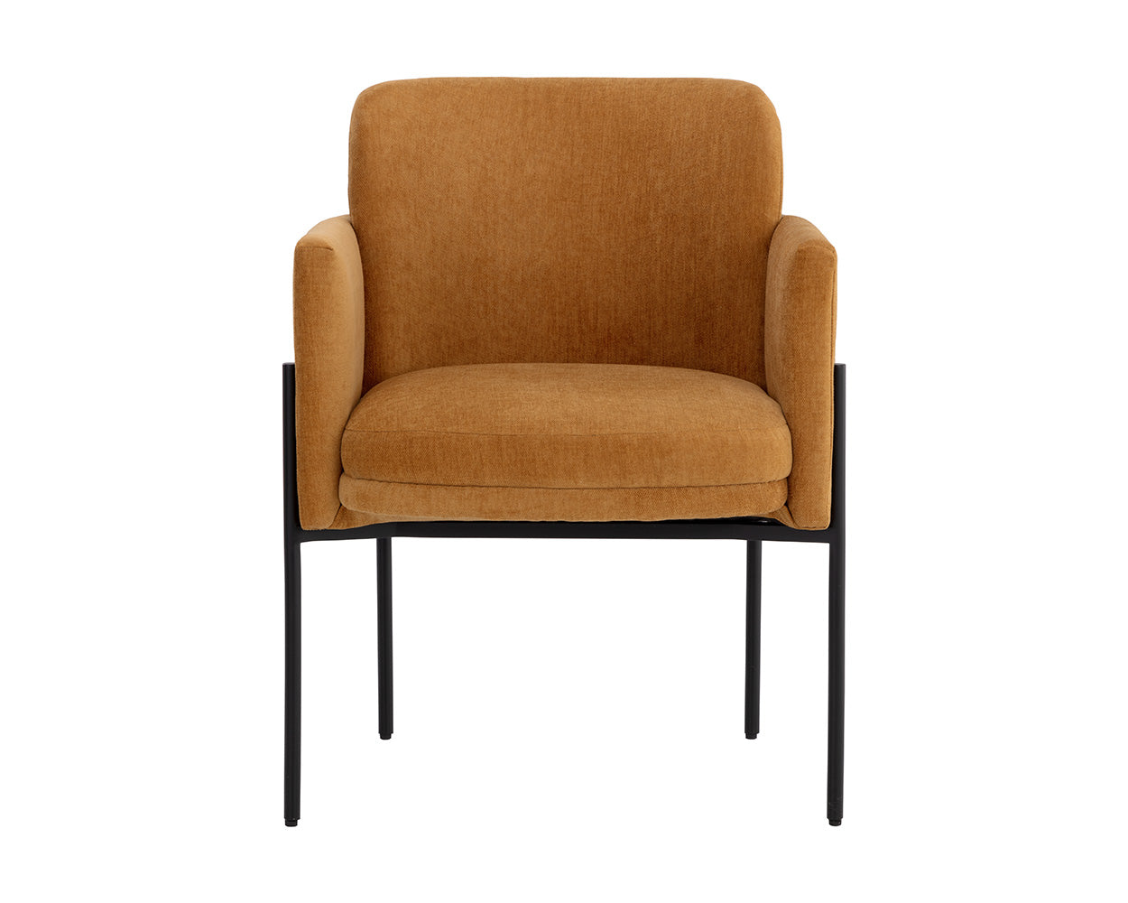 Richie Dining Armchair - Black