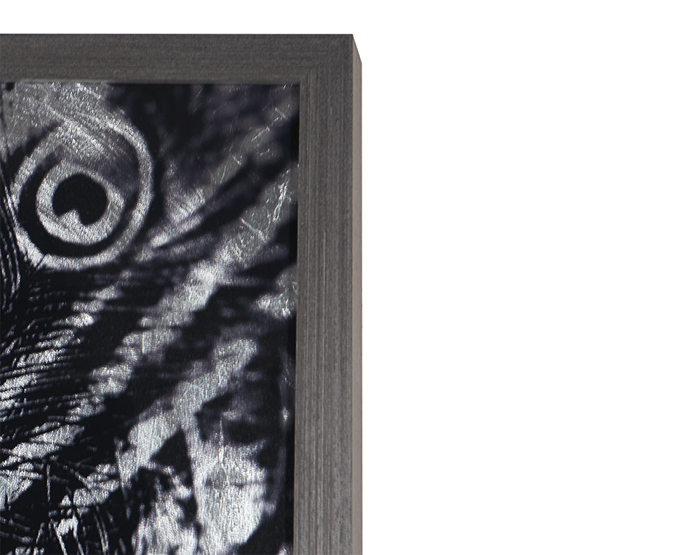 Silver Plumage - 72" X 48" - Charcoal Frame