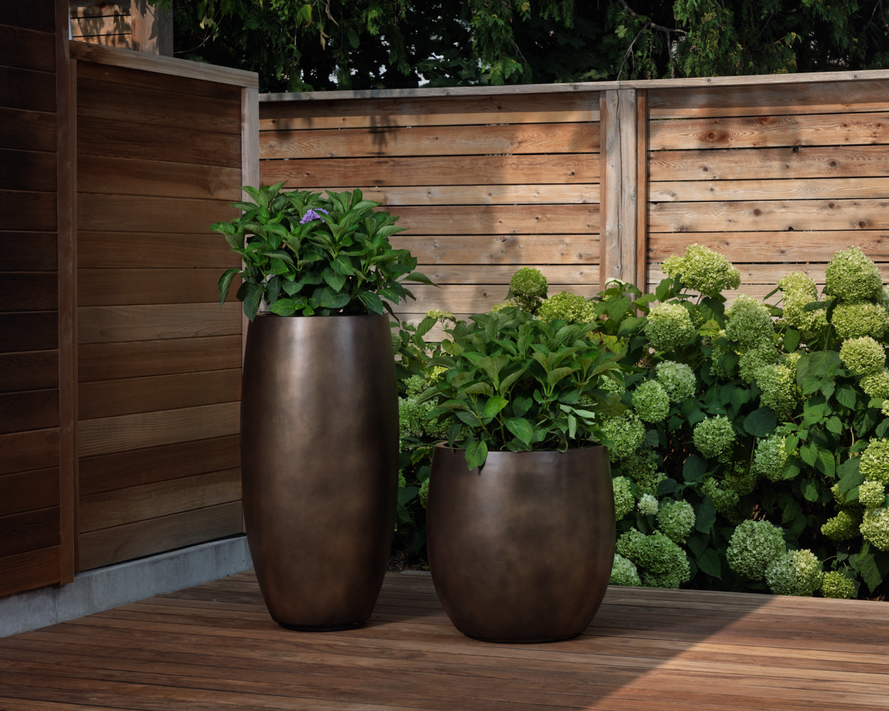 Aster Planter - Small - Round – Sunpan Trading & Importing, Inc.
