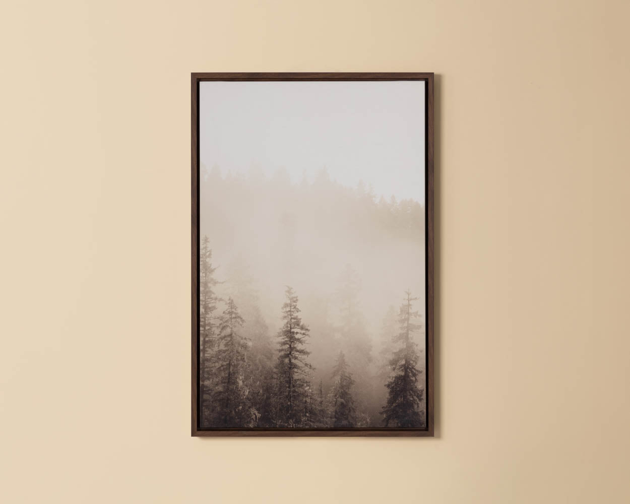 Mistwood I - 20" X 30" - Brown Floater Frame