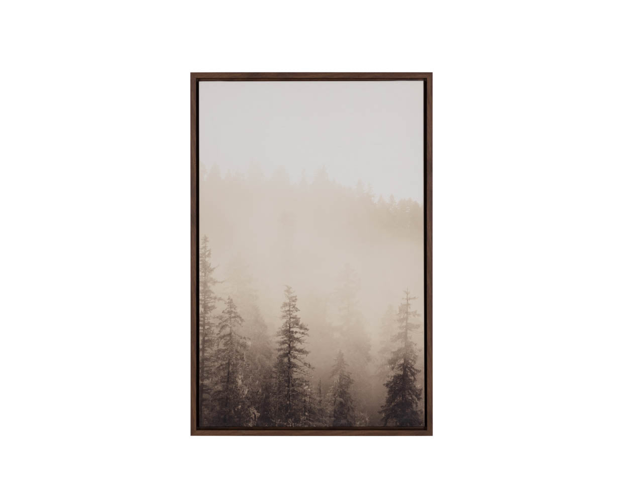 A0459_20