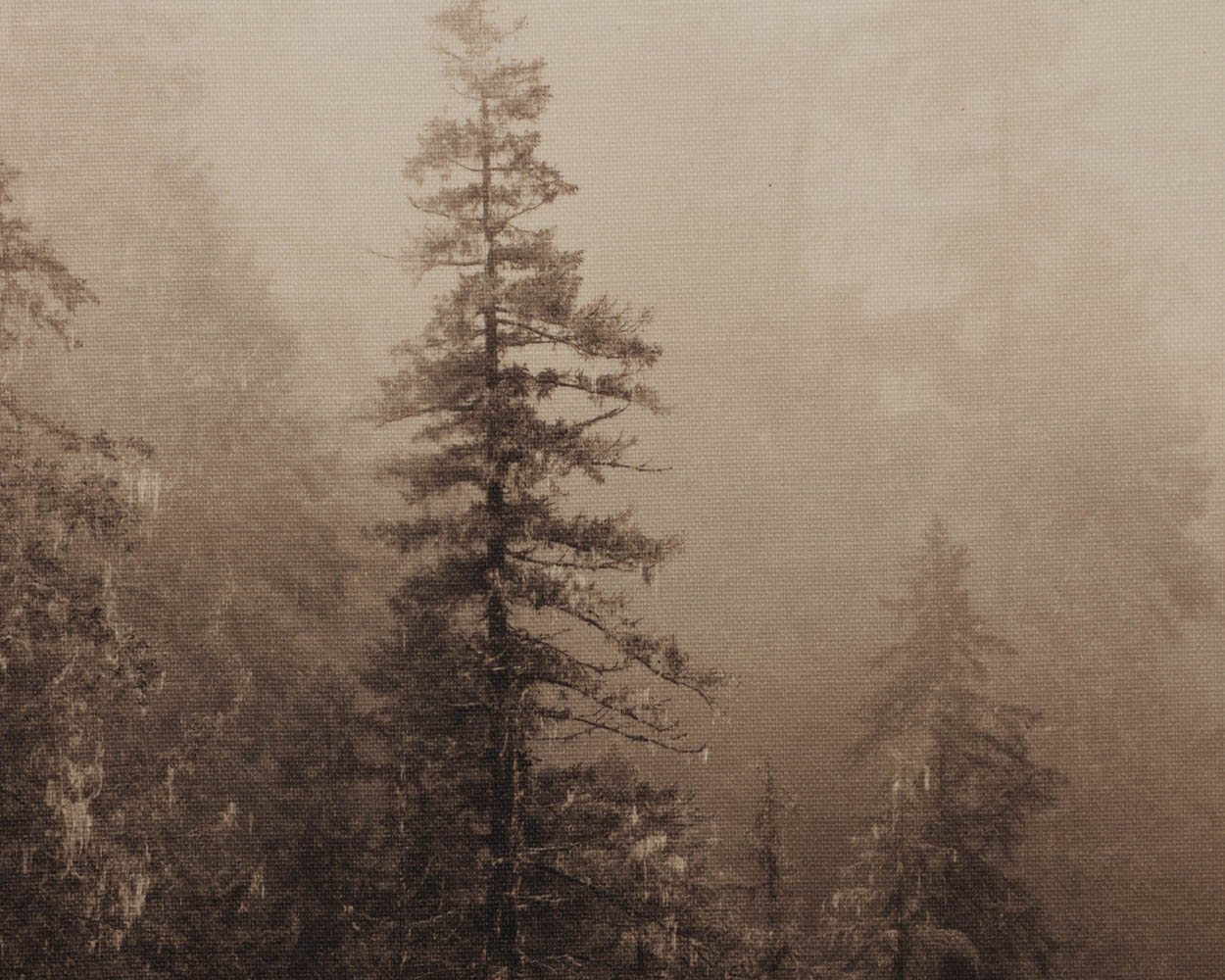 A0459_27