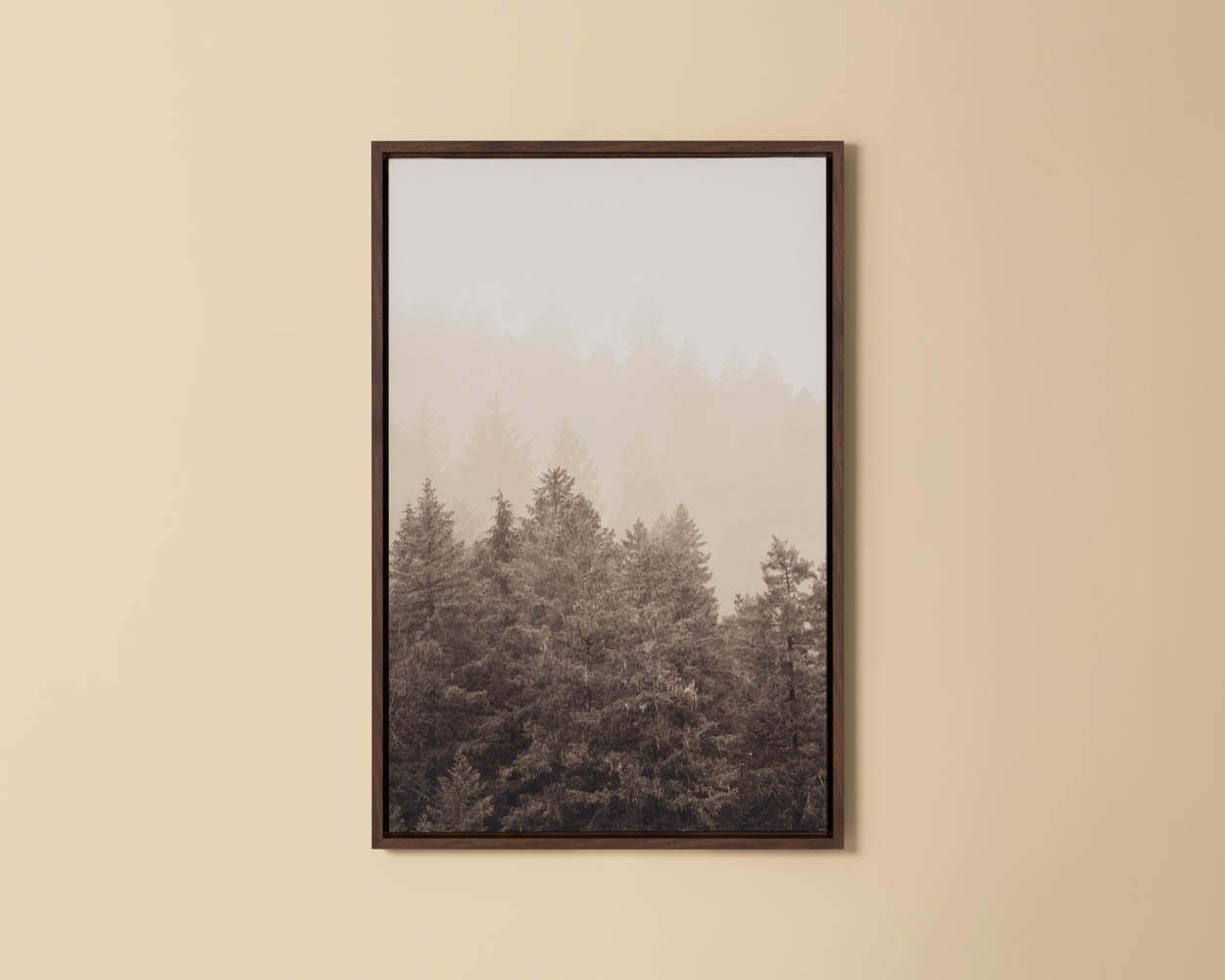 Mistwood II - 20" X 30" - Brown Floater Frame