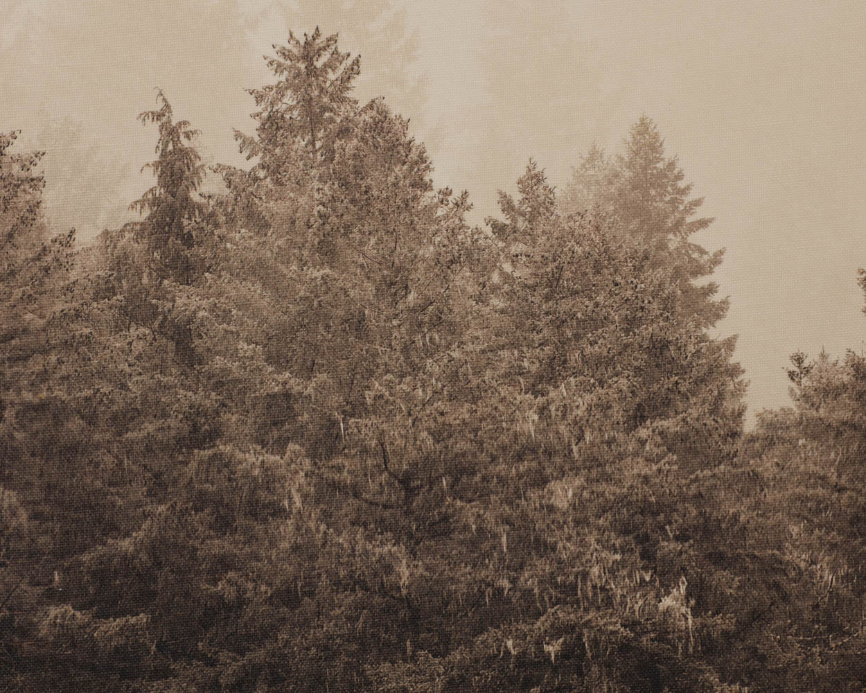 A0460_27