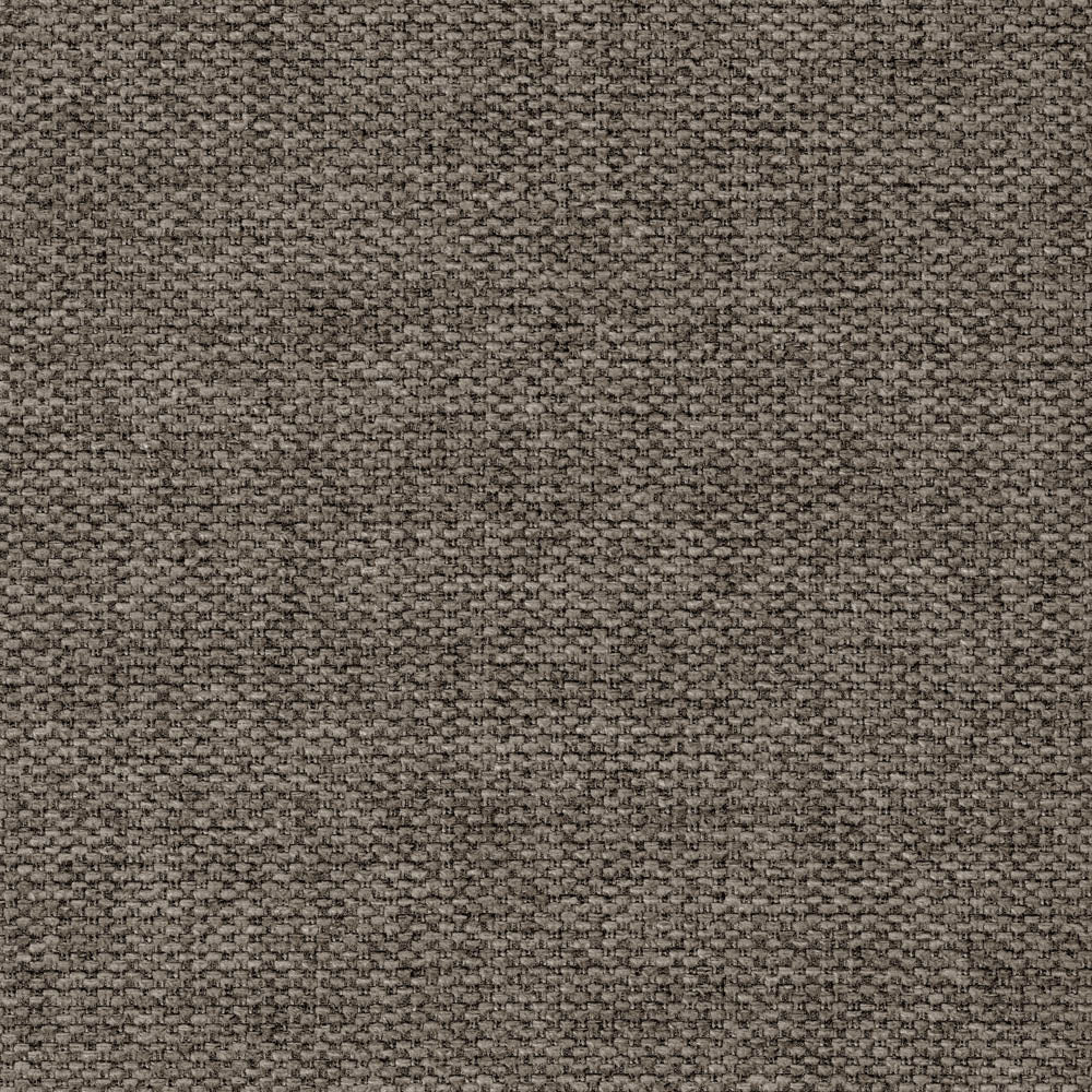 Shell Swatches Belfast Oyster Shell Swatch – Sunpan Trading & Importing, Inc.