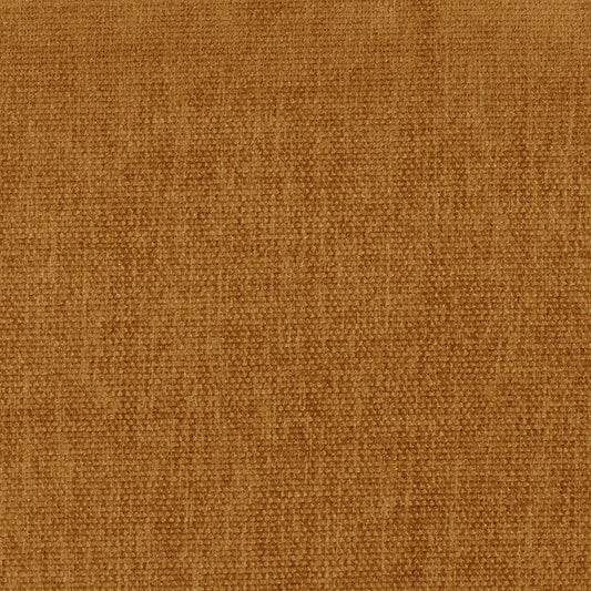 Danny Amber Swatch