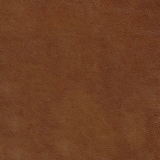 Shalimar Tobacco Leather Swatch