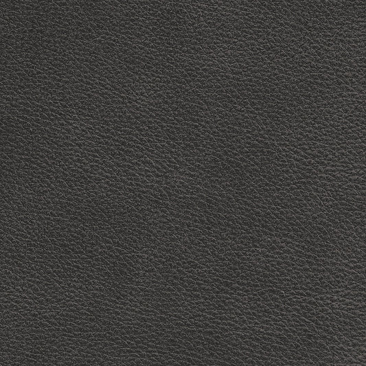 Brentwood Charcoal Leather Swatch