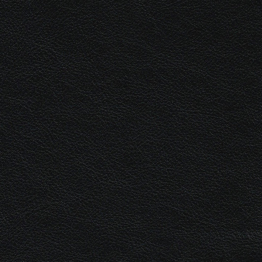 Cortina Black Leather Swatch