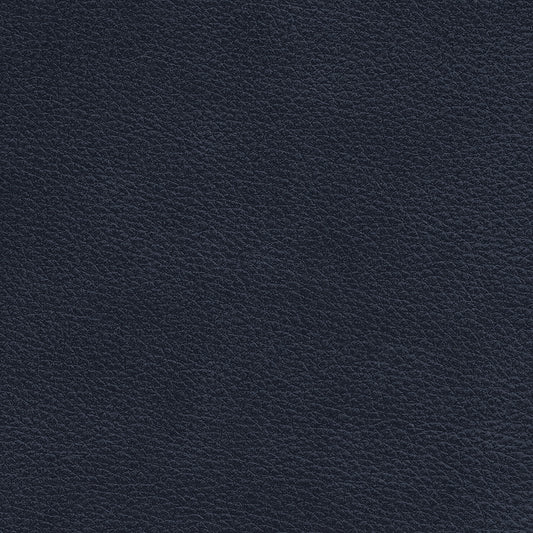 Cortina Ink Leather Swatch