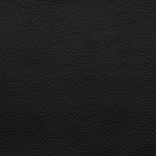 Alpine Black Leather Swatch