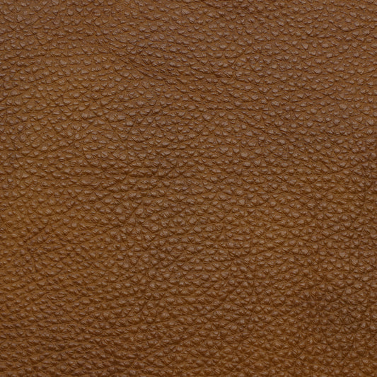 Missouri Cognac Leather Swatch