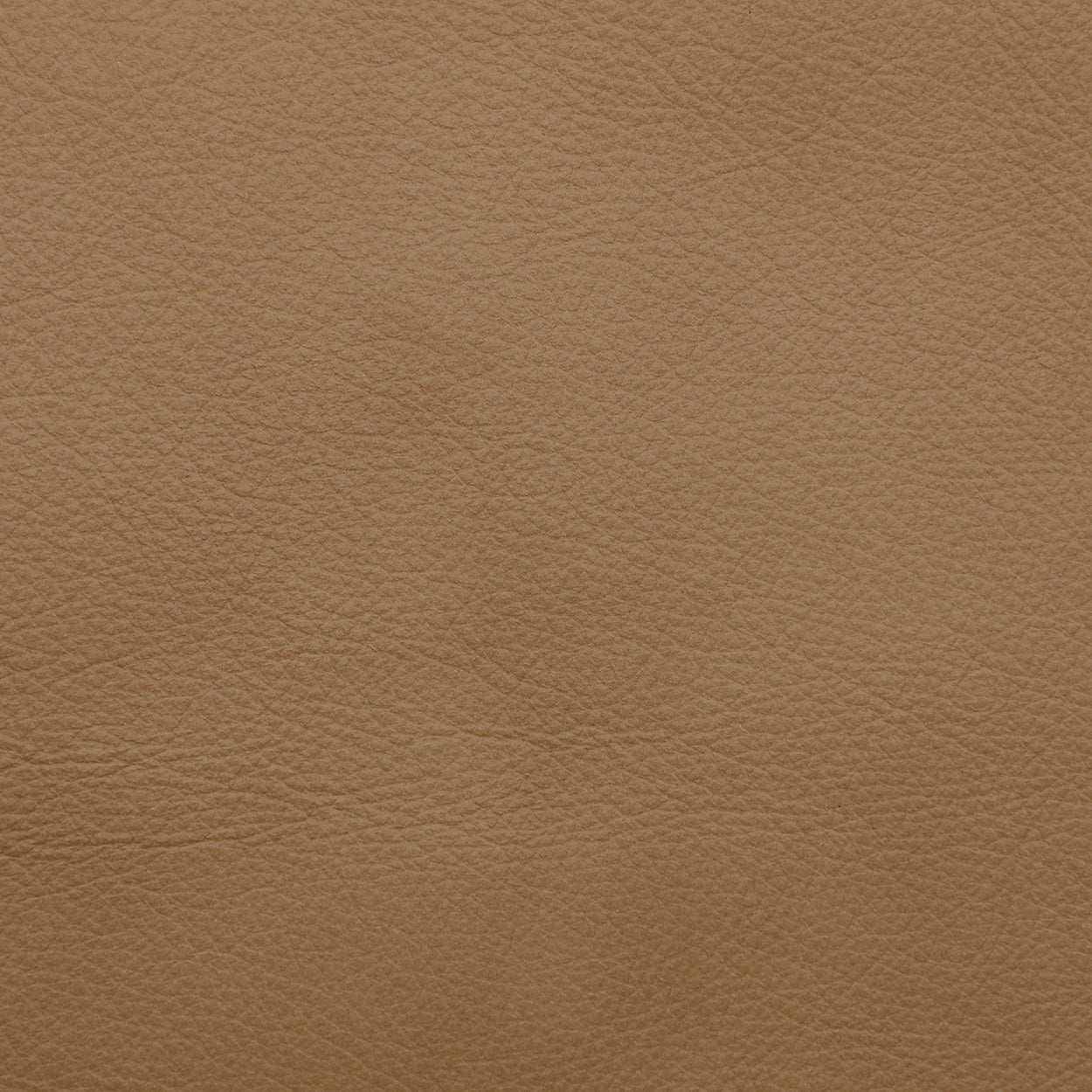 Aline Butternut Leather Swatch