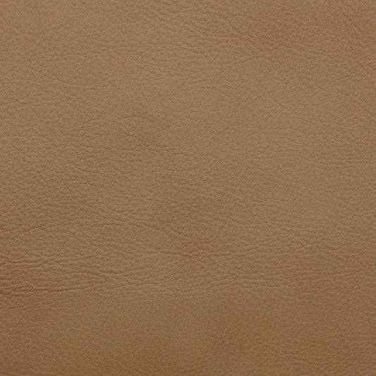 Aline Butternut Leather Swatch